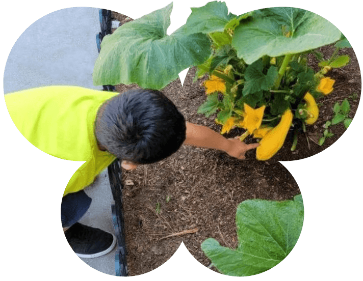 Kid learning about vegetables