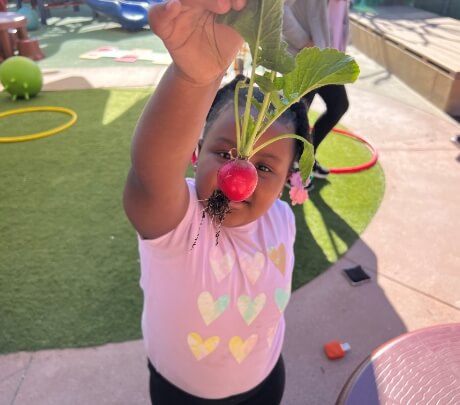 All TCCI sites have an on-site garden where  children plant, grow, and harvest different fruits  and vegetables.